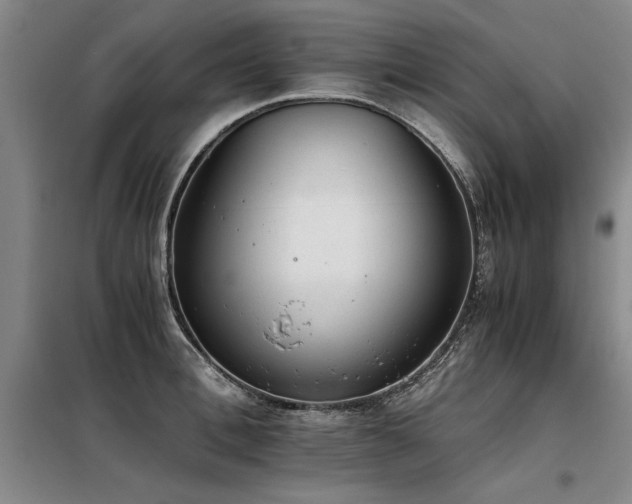 X0000098140996200804171543