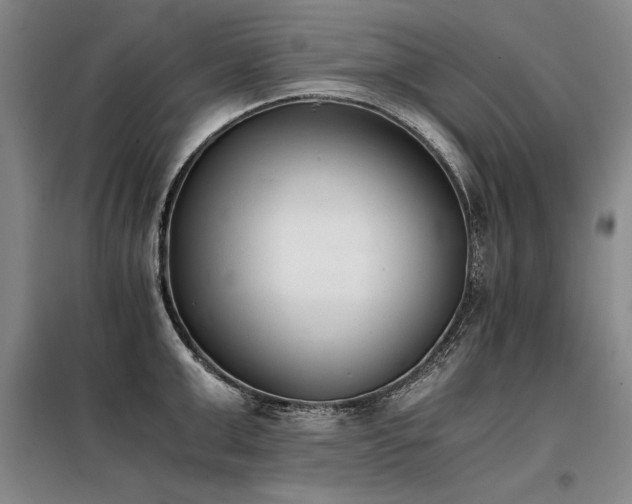 X0000098140999200804171542