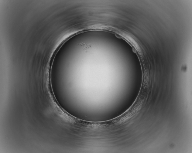 X0000098141000200804171542