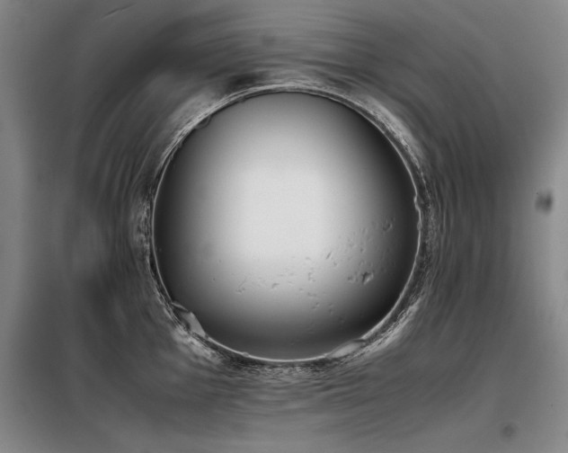 X0000098141001200804171542