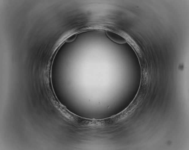 X0000098141002200804171542