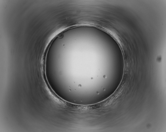 X0000098141003200804171542