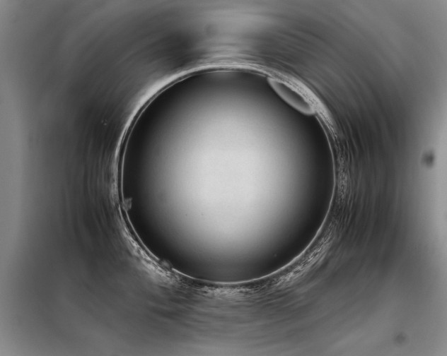 X0000098141004200804171542