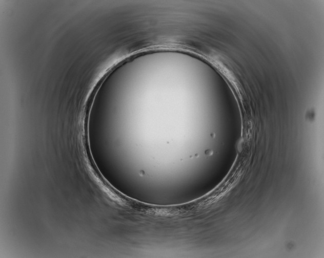 X0000098141005200804171542
