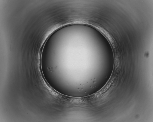 X0000098141006200804171542