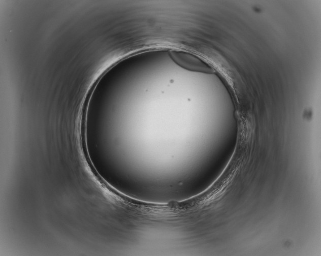 X0000098141007200804171542