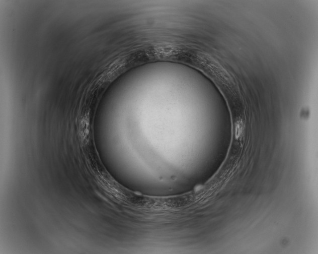 X0000098141011200804171542