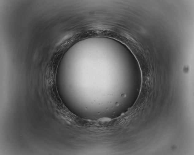 X0000098141014200804171542