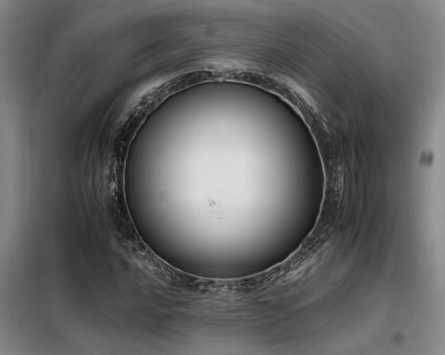 X0000098141016200804171542
