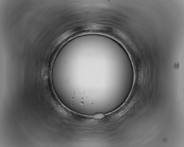 X0000098141017200804171542