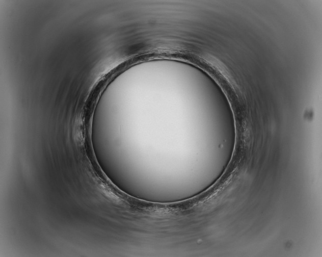 X0000098141018200804171542