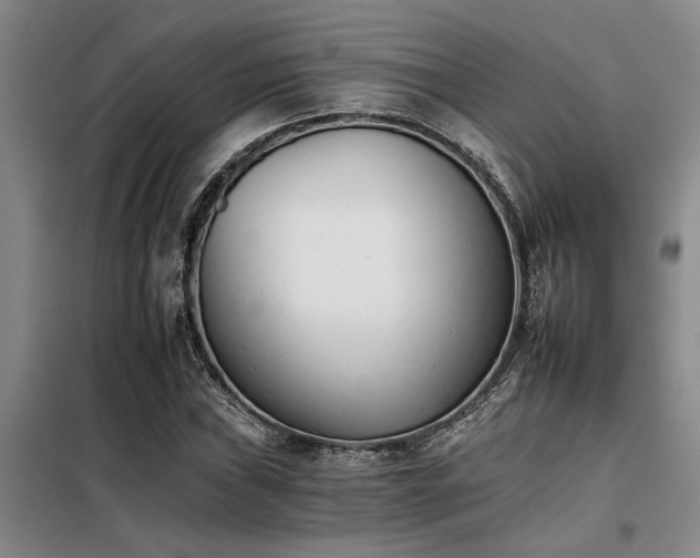 X0000098141019200804171542