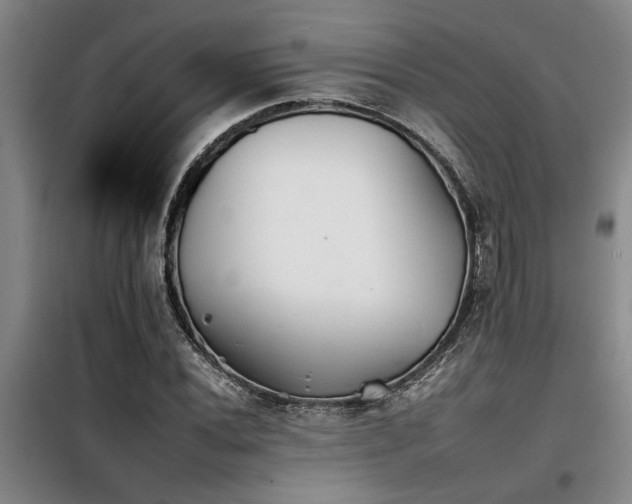 X0000098141020200804171542