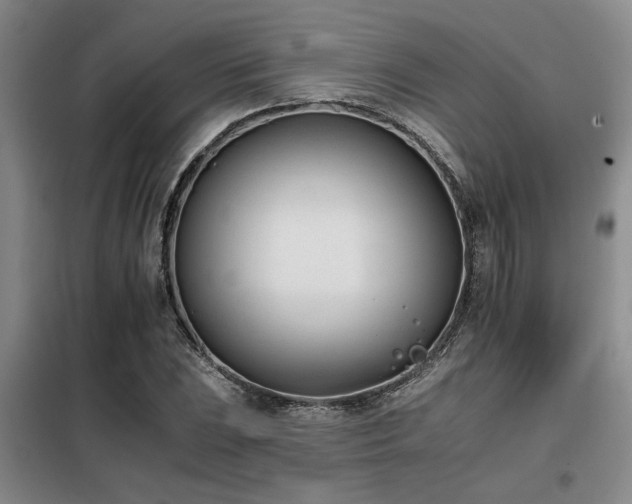X0000098141023200804171542