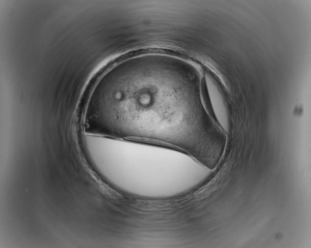 X0000098141024200804171542