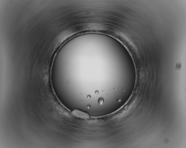 X0000098141025200804171542