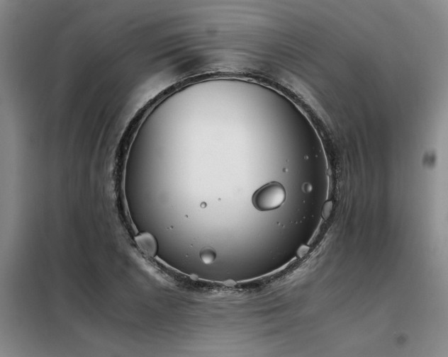 X0000098141026200804171542