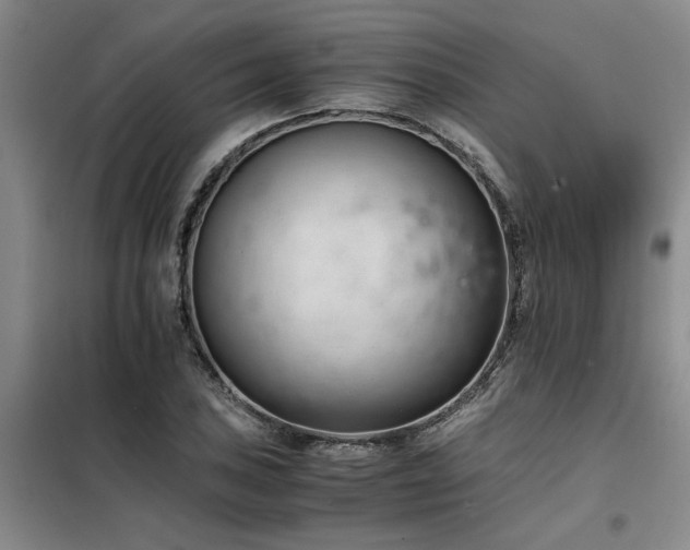 X0000098141027200804171542