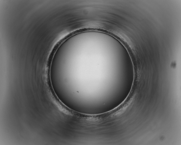 X0000098141029200804171542