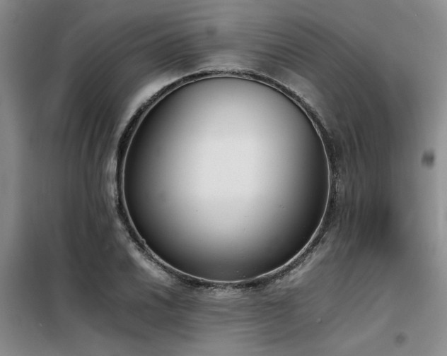 X0000098141030200804171542