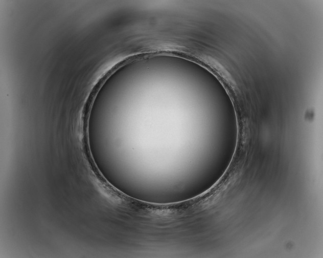 X0000098141031200804171542