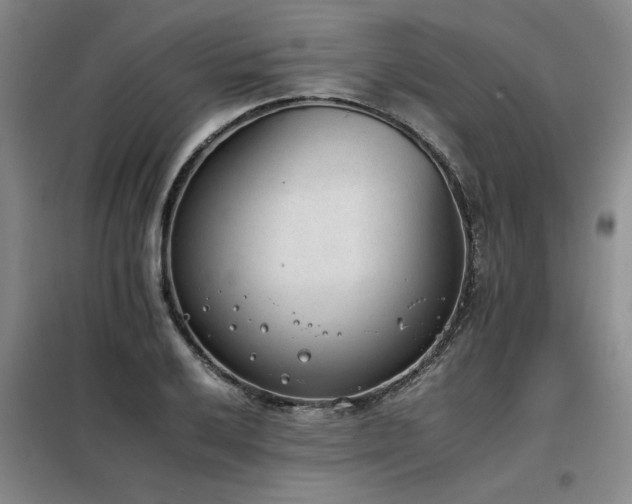 X0000098141032200804171542