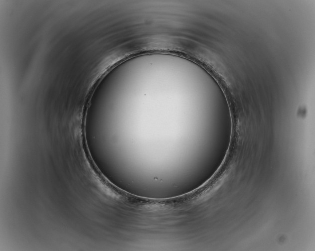 X0000098141033200804171542