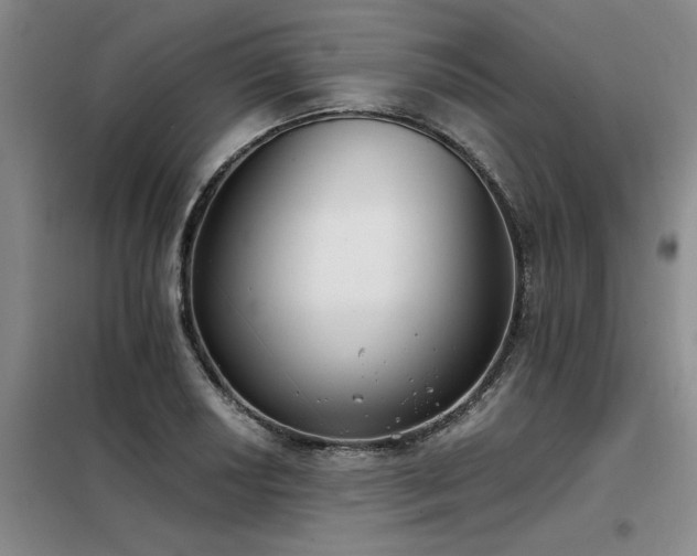 X0000098141034200804171542