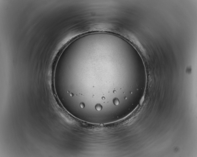 X0000098141035200804171542