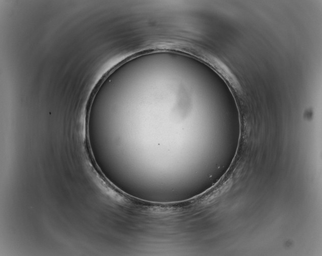 X0000098141036200804171542