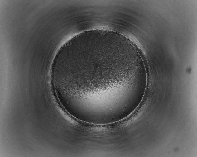 X0000098141037200804171542