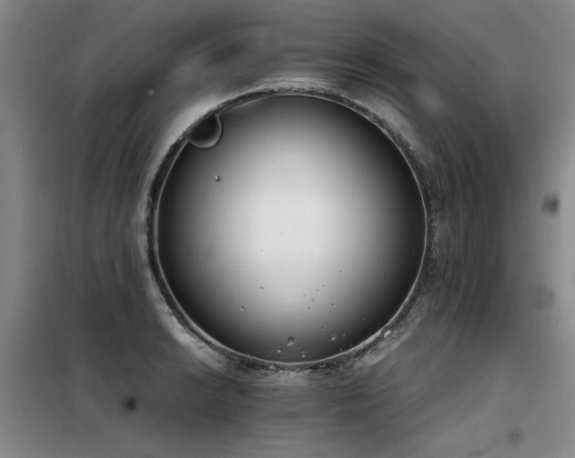 X0000098141038200804171542