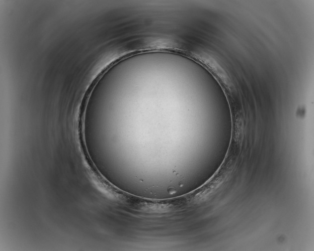 X0000098141039200804171542