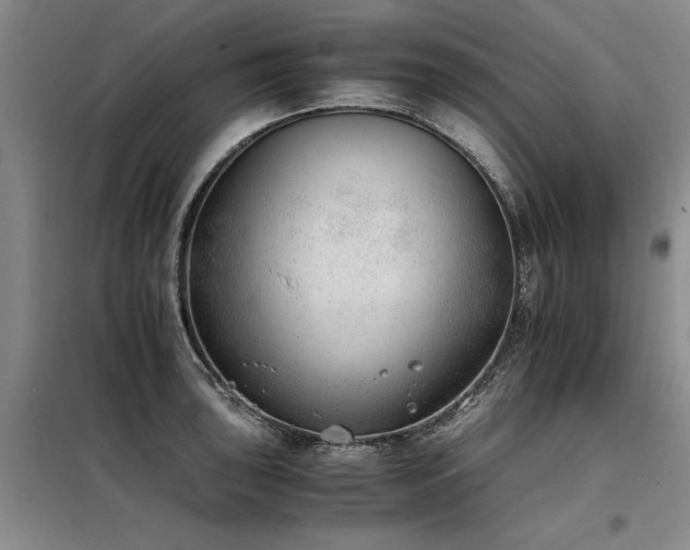 X0000098141043200804171542