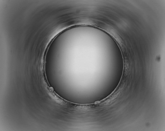 X0000098141044200804171542
