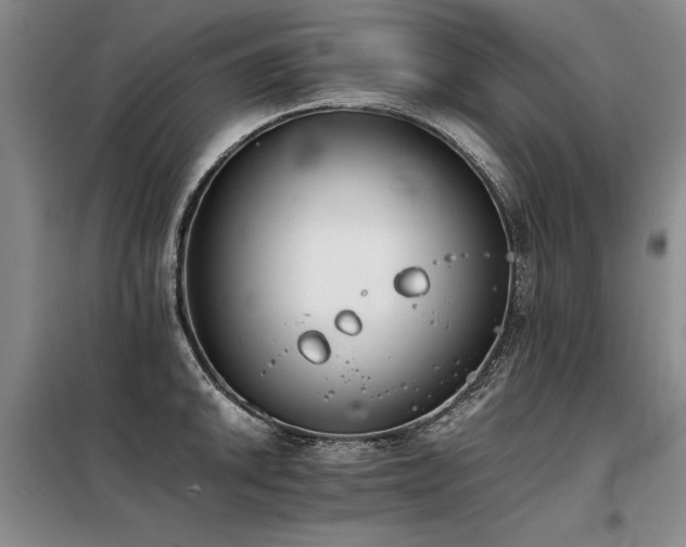 X0000098141046200804171542