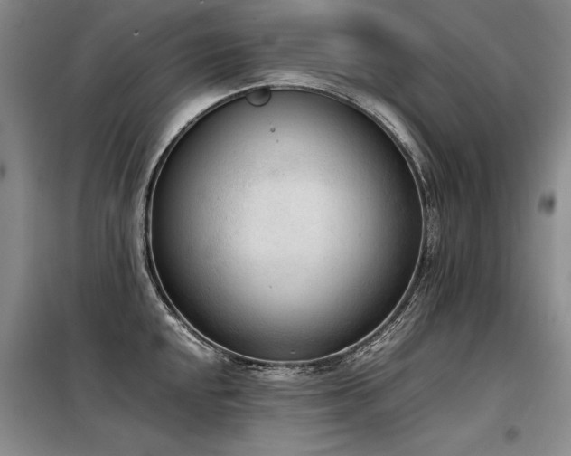 X0000098141048200804171542