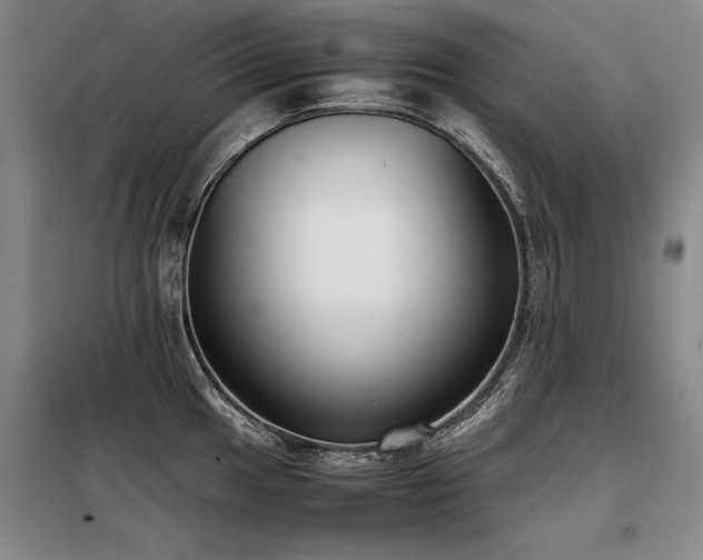 X0000098141049200804171542