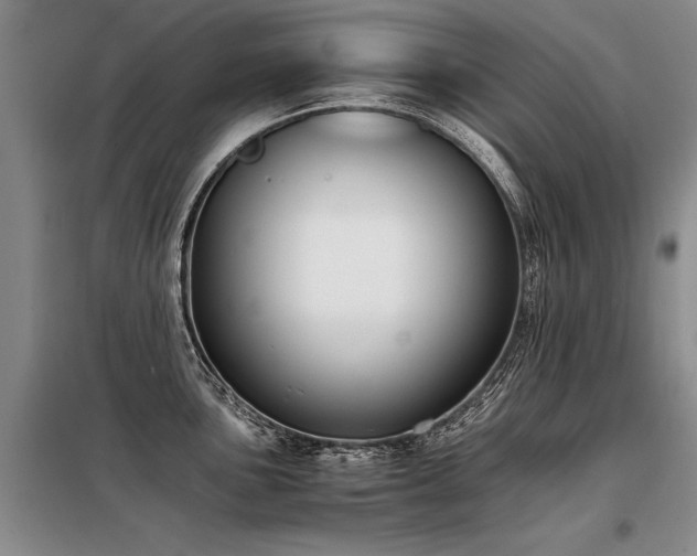 X0000098141051200804171542
