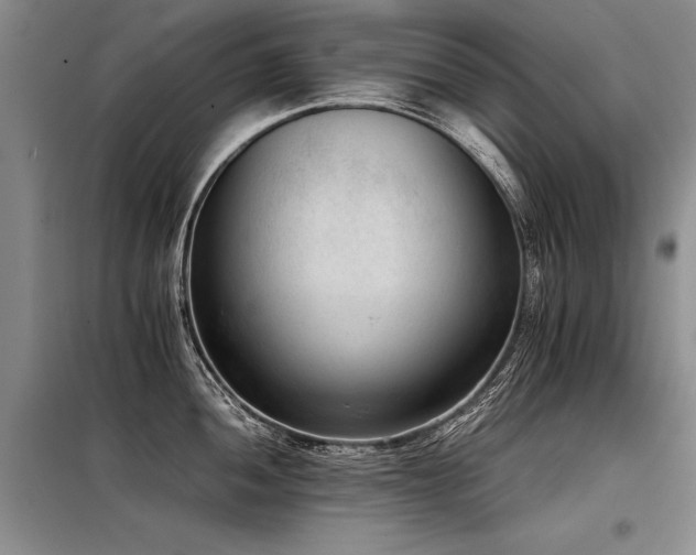 X0000098141052200804171542