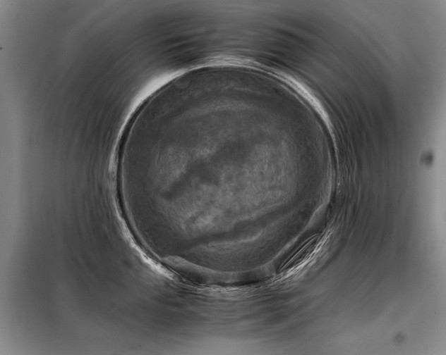X0000098141053200804171542