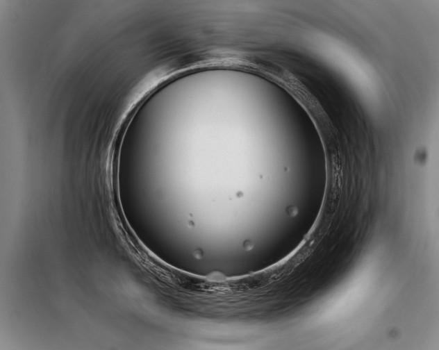 X0000098141054200804171542