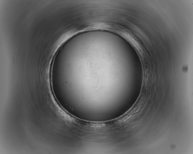 X0000098141055200804171542