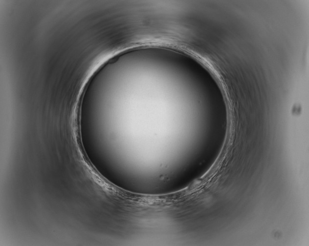 X0000098141056200804171542