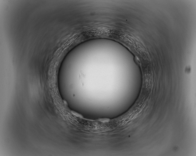 X0000098141057200804171542