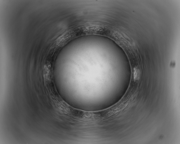 X0000098141059200804171542