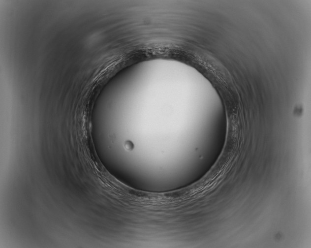 X0000098141060200804171542