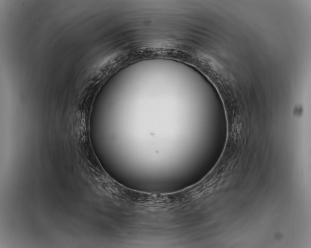 X0000098141062200804171542