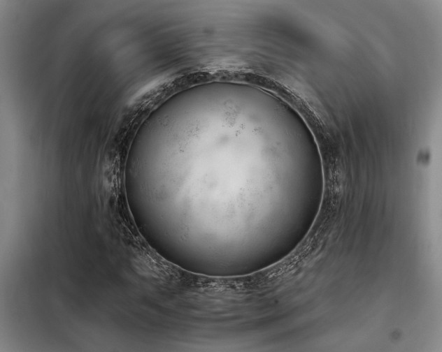 X0000098141063200804171542