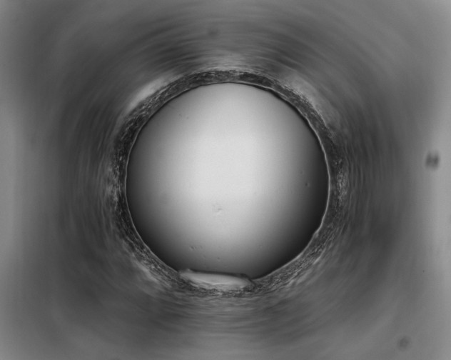 X0000098141064200804171542